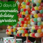 100 days of Homemade Holiday Inspiration