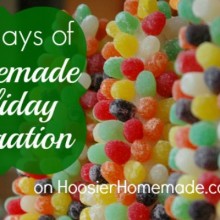 100-days-of-Homemade-Holiday-Inspiration.feature