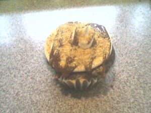 smore-cupcake3 smore-cupcake3