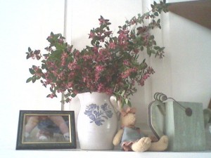 decorating-with-pink-bush