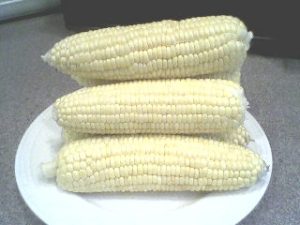 corn