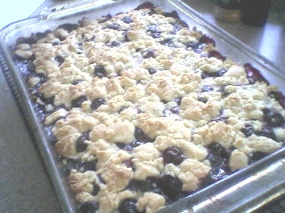 Blueberry Crumb Bars.5