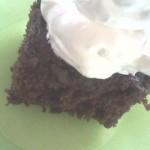 Chocolate Zucc Cake.3