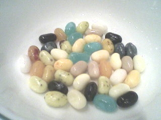 bertie-beans bertie-beans
