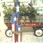 firecracker5 firecracker5
