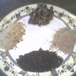 sundae-toppings sundae-toppings