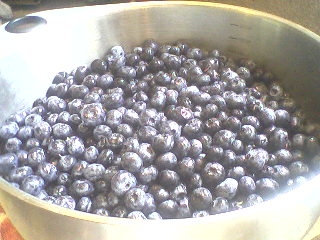 Blueberries.2