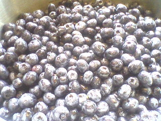 Blueberries.4