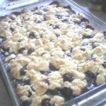 Blueberry Crumb Bars.5