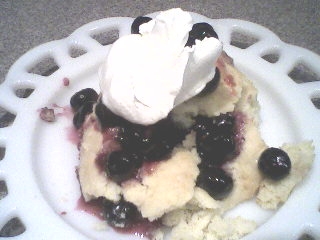 Blueberry Sauce with shortcake
