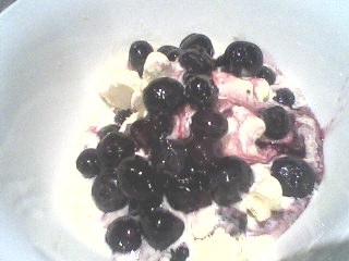 Blueberry Sauce.4