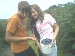 Blueberry picking.Nick and Brit.2