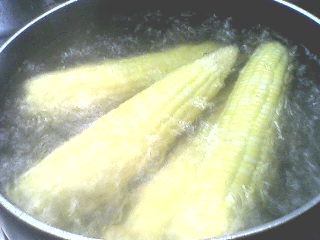 Freezing Corn.2