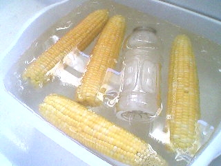 Freezing Corn.4