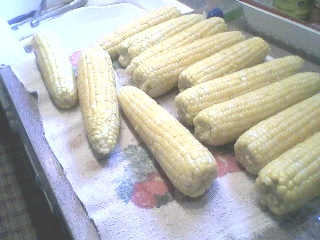 Freezing Corn.6