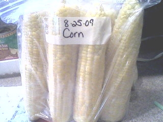 Freezing Corn.7