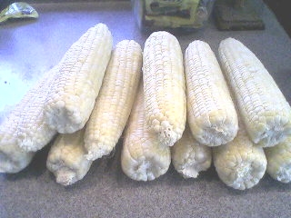 Freezing Corn