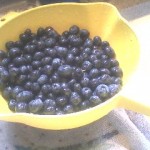 Freezing blueberries Freezing blueberries