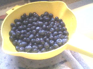 Freezing blueberries