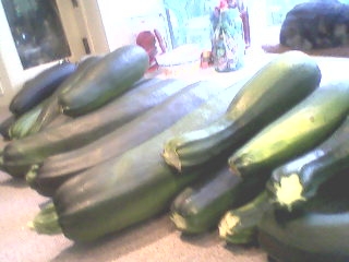 Zucchinis.2