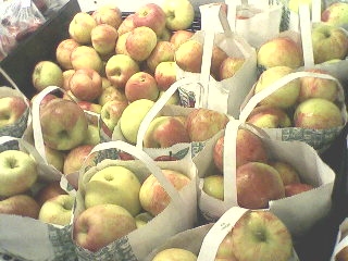 Apples at Garwoods