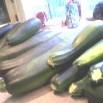 Zucchinis.2 Zucchinis.2