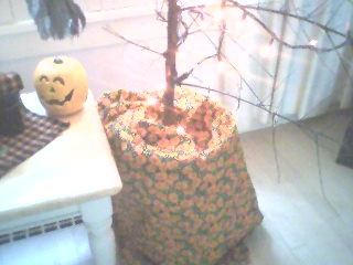Halloween Tree.4