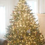 Christmas Tree.fixed.1