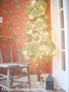 Hydrangea Tree.fixed.1 Hydrangea Tree.fixed.1