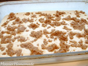 Graham Streusel Cake.fixed.4