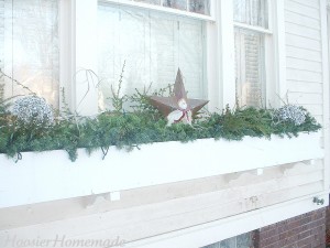 Winter Window Boxes.fixed.2