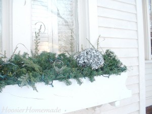 Winter Window Boxes.fixed.3