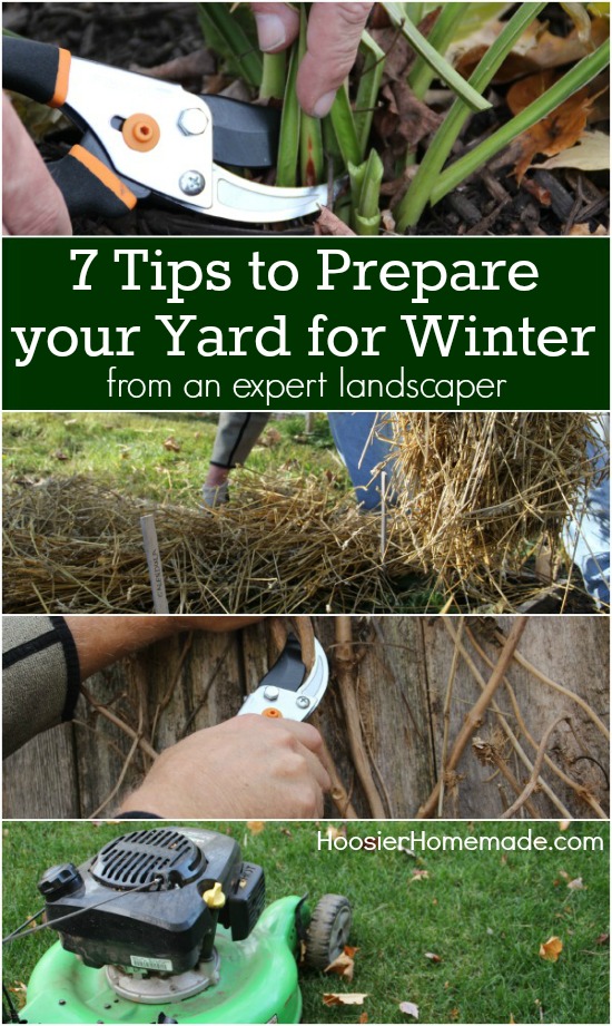 Have the BEST looking yard on the block! These 7 simple tips will help you get your yard ready for Winter! Pin to your Gardening Board!