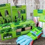 ALDI Herb Garden: Directions on HoosierHomemade.com