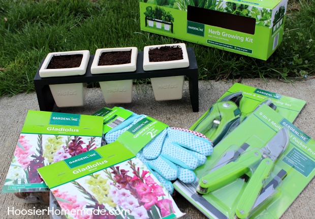 ALDI Herb Garden: Ready for Mom