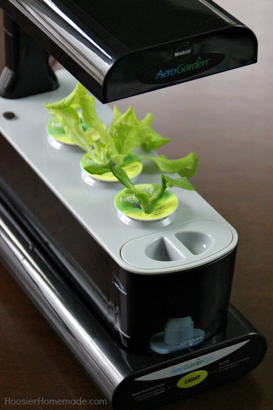 AeroGarden 3SL Indoor Garden System - it doesn't get an easier than this to grow plants indoors. Pin to your Gardening Board!