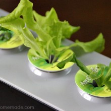 AeroGarden 3SL Indoor Gardening