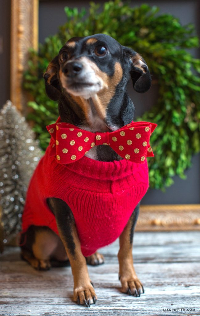 DIY Pet Bow Tie