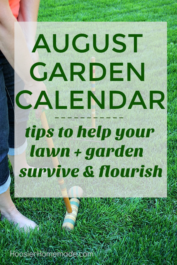 AUGUST GARDEN CALENDAR is packed with chores that will make your lawn and garden survive and flourish during the summer heat that comes along with the summer months. It will also set you up for a beautiful fall.