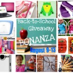B2S collage