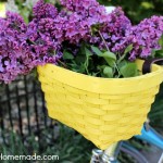 Bike.basket.featured