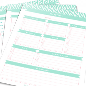 Organizing, Cleaning and Home Management Printables