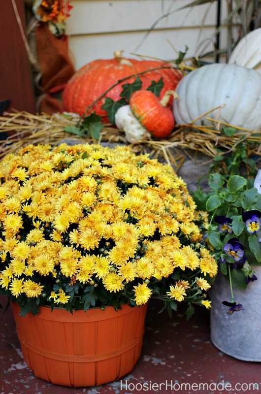 Painted Bucket for Mum :: Fall Decorating on HoosierHomemade.com