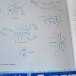 Bugs.fixed.6