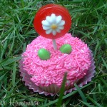 Candy Cupcakes.2