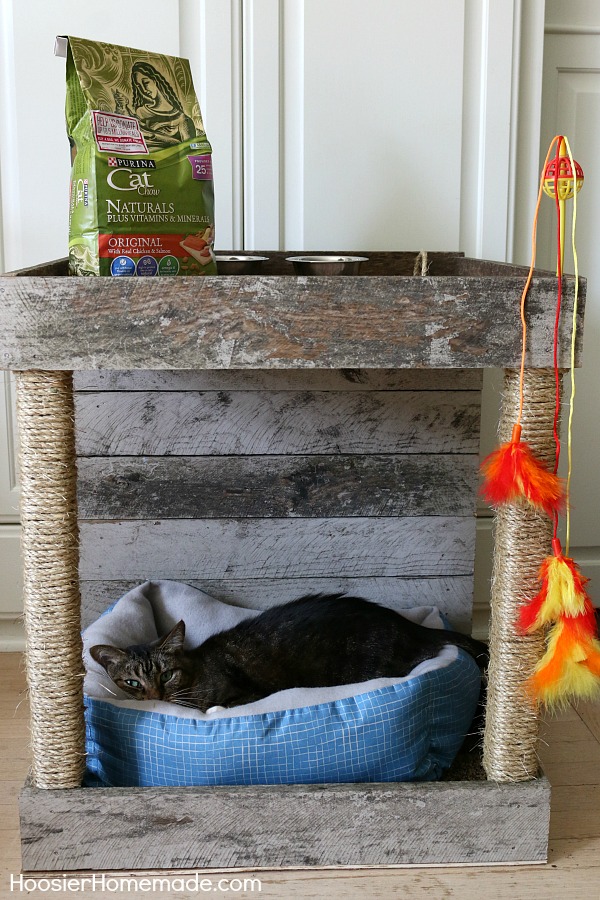 CAT CONDO -- This Cat Condo is made from a Wood Pallet and scrap lumber! Your cat will be cozy in the bed, have fun with the toy, eat, drink and there's even a scratching spot!