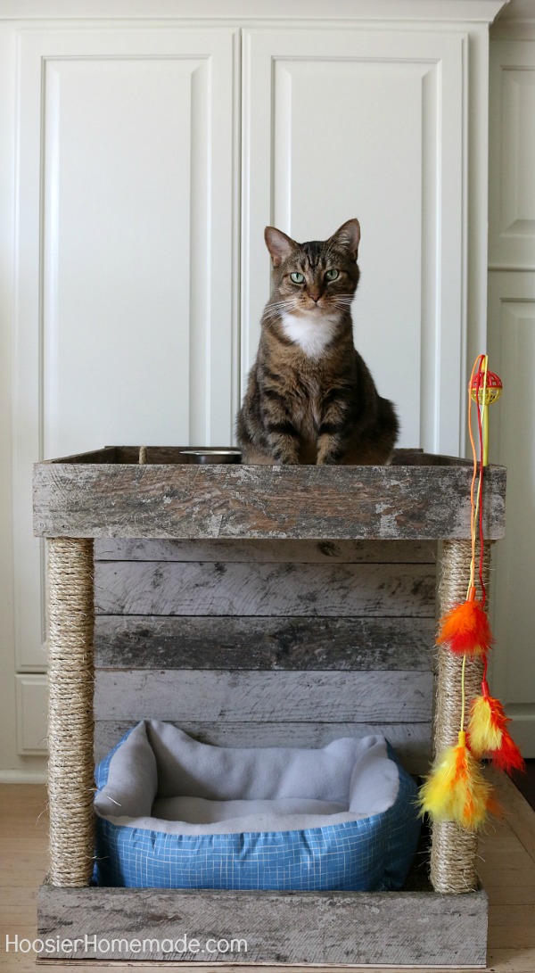 CAT CONDO -- This Cat Condo is made from a Wood Pallet and scrap lumber! Your cat will be cozy in the bed, have fun with the toy, eat, drink and there's even a scratching spot!