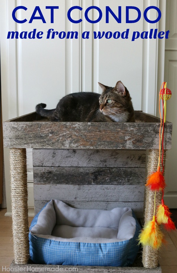 CAT CONDO -- This Cat Condo is made from a Wood Pallet and scrap lumber! Your cat will be cozy in the bed, have fun with the toy, eat, drink and there's even a scratching spot!