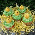 Chick-Cupcakes.hh Chick-Cupcakes.hh