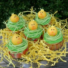 Chick-Cupcakes.hh